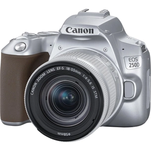 Цифровий фотоапарат Canon EOS 250D kit 18-55 IS STM Silver (3461C003) зображення 1