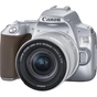 Цифровий фотоапарат Canon EOS 250D kit 18-55 IS STM Silver (3461C003) - зменшене зображення 1