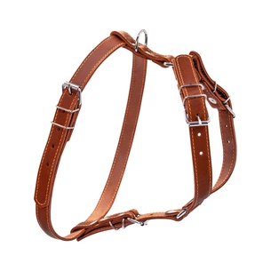 Шлея для собак Collar одинарна для малих та середніх порід Ш 20 мм А:40-56 см В:57-65 см коричнева (06366) зображення 1