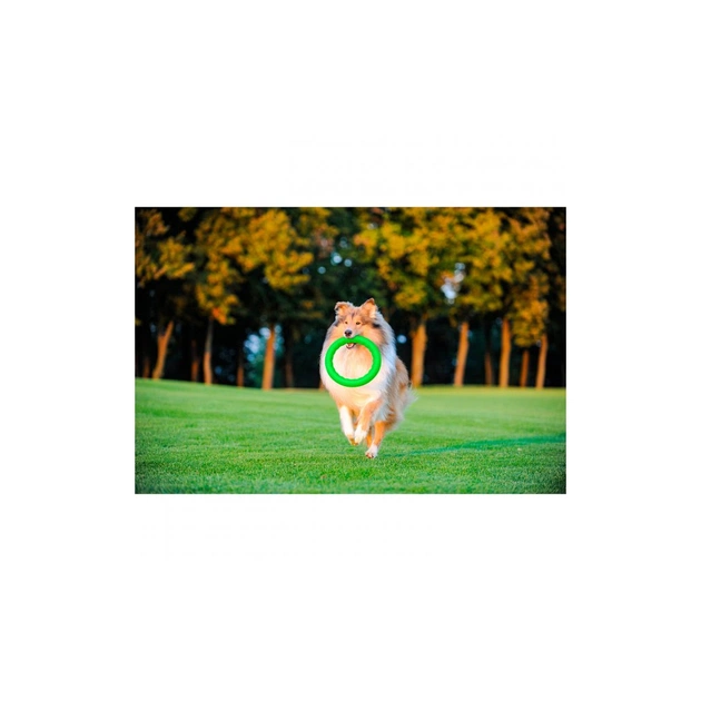 Іграшка для собак Collar PitchDog Кільце для апортування 28 см салатове (62385) - picture 3