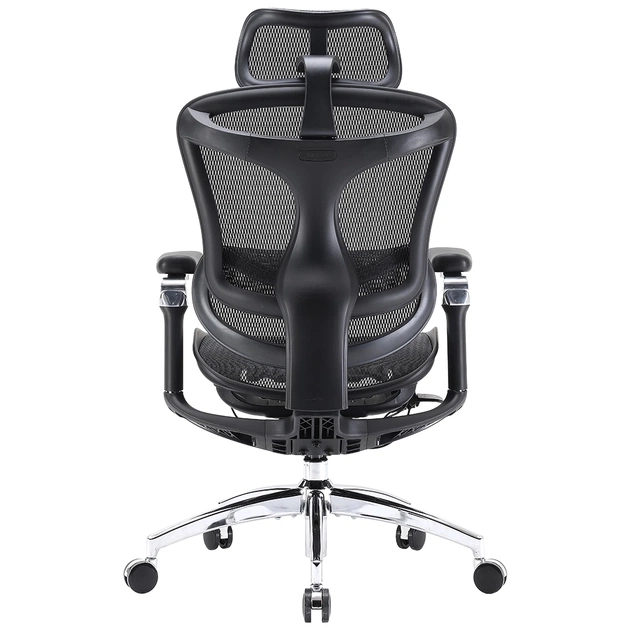 Офісне крісло Sihoo DORO C300 Pro Mesh Black (DORO-C300-PRO-M101) - picture 4