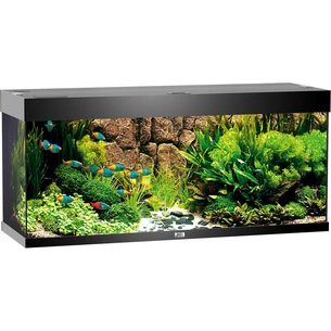 Акваріум Juwel Rio 240 LED чорний (4022573033502) зображення 1