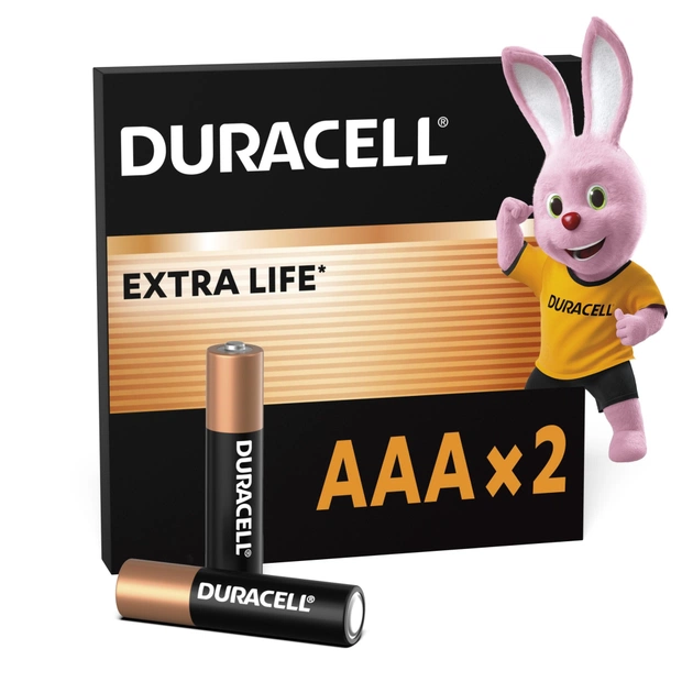 Батарейка Duracell AAA лужні 2 шт. в упаковці (5000394058170 / 81484984) - зображення 1