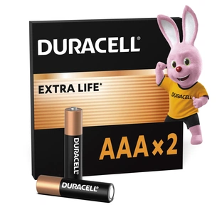 Батарейка Duracell AAA лужні 2 шт. в упаковці (5000394058170 / 81484984) зображення 1