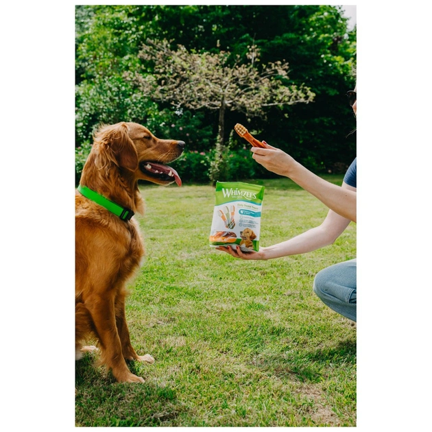 Лакомство для собак Whimzees Toothbrush L 6 шт (8718627750681) - изображение 5