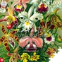 Пазл GoodLoot Imagination: Orchid Ernst Haeckel 1000 ел. (5908305247531) - preview 4