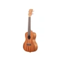 Укулеле Kala Mahogany Concert Ukulele No Binding (231438) - зменшене зображення 3