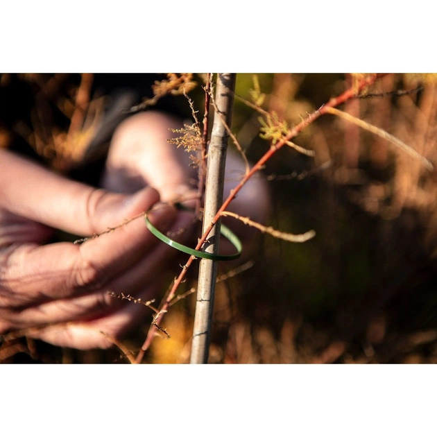 Стяжка Neo Tools 50шт, пластик, 4.8х160мм, зелена (15-979) - picture 2