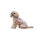 Сукня для тварин Pet Fashion Amelia М (4823082446452) - зменшене зображення 3