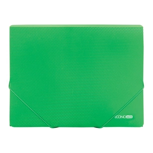Папка на резинках Economix А4 фактура "діамант", зелена (E31601-04) зображення 1