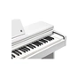 Цифрове піаніно Kurzweil CUP M1 White (530139) - preview 6