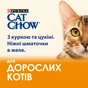 Вологий корм для кішок Purina Cat Chow Adult з куркою та цукіні 85 гх10 шт (7613036596879) - зменшене зображення 4