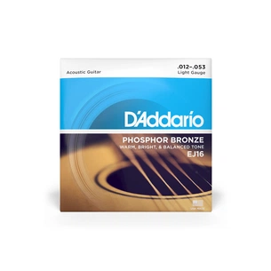 Струни для гітари D'Addario Phosphor Bronze Regular Light (12-53) (EJ16) зображення 1
