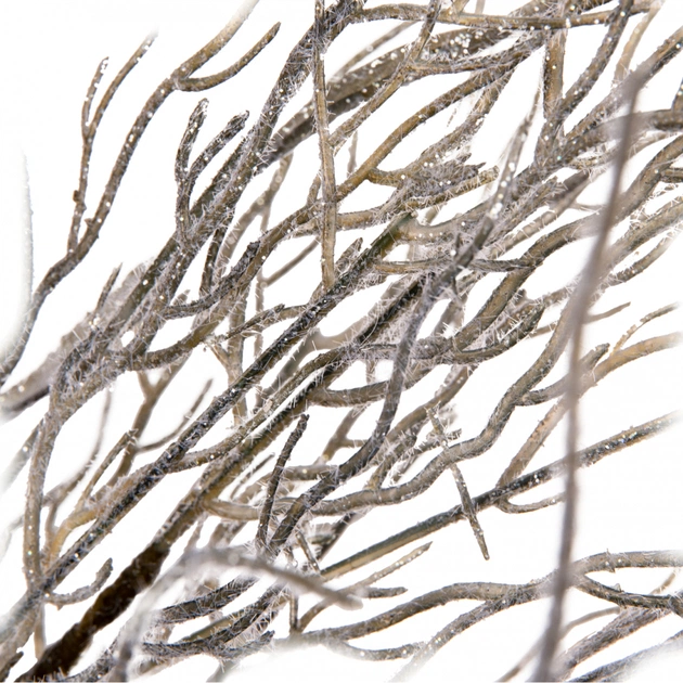 Декоративна гілка YES! Fun Сіра Засніжена 84 см (974813) - picture 2
