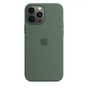 Чохол до мобільного телефона Apple iPhone 13 Pro Max Silicone Case with MagSafe Eucalyptus (MN6C3ZE/A) - зменшене зображення 1