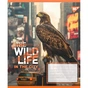 Зошит Yes The wild in the city А5 60 аркушів клітинка (767770) - зменшене зображення 3