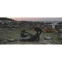 Намет Easy Camp Setesdal 4 (120478) (931549) - уменьшенное изображение 12