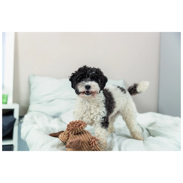 Іграшка для собак Trixie Гриф Густав Тканина і плюш 24 см (4011905359113) - picture 5