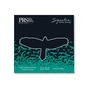 Струни для гітари PRS Signature Heavy Guitar Strings 12-52 (100148006001004) - зменшене зображення 1