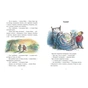Книга Миш і Кріт - Джойс Данбар Ранок (9786170991904) - зменшене зображення 3