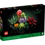 Конструктор LEGO Botanicals Сукуленти (10309-) - зменшене зображення 1