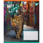 Зошит Yes The wild in the city А5 60 аркушів клітинка (767770) - зменшене зображення 5