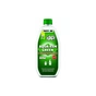 Засіб для дезодорації біотуалетів Thetford Aqua Kem Green концентрат 0.75 л (8710315995251) - уменьшенное изображение 1