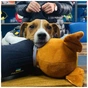 М'яка іграшка WP Merchandise пес Патрон (FWPATRONPL22WTBN1) - зменшене зображення 11