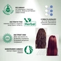Краска для волос Acme Color Beauty Phyto 855 - Огненно-красный (4823115501912) - уменьшенное изображение 4