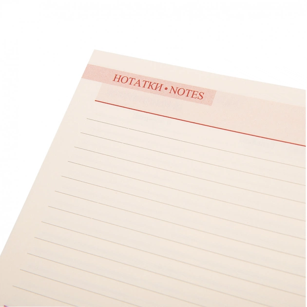 Еженедельник Leo planner датированный 2025 Cioccolato 10х15 см 128 страниц (252570) - изображение 6