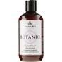 Шампунь Kallos Cosmetics Botaniq Superfruits Vegan Відновлюючий 300 мл (5998889515072) - зменшене зображення 1