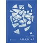 Книга Амадока - Софія Андрухович Видавництво Старого Лева (9786176796299) - зменшене зображення 1