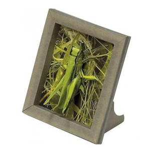 Збірна модель Умная бумага Рамка Коник (245) зображення 1