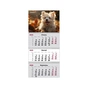 Календар Axent настінний квартальний 2025 рік 3 пр. Dogs 3 (8803-25-18-A) - зменшене зображення 1