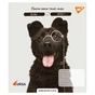 Зошит Yes Тварини URSA 2025 А5 48 аркушів лінія (768262) - уменьшенное изображение 2