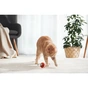 Игрушка для кошек Cheerble Wicked Ball M3 (Vintage Red) (CWQ02R) - уменьшенное изображение 6