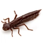 Силікон рибальський FishUP Dragonfly 1.2" 012 - Chaos (10шт/уп) (1864.04.76) - зменшене зображення 1