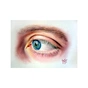 Пастель Cretacolor Fine Art Pastel олівці 72 кольори (9002592470729) - уменьшенное изображение 7