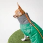 Жилет для тварин Pet Fashion LUKA S (4823082432325) - зменшене зображення 6