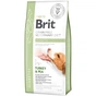 Сухий корм для собак Brit GF VetDiets Dog Diabetes 12 кг (8595602528097) - уменьшенное изображение 1