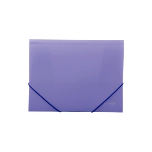 Папка на резинках Economix А4 фактура "помаранч", фіолетова (E31633-12) зображення 1