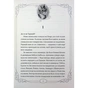 Книга Опівнічні Коти. Кіт-привид із Бейкерлу. Книга 4 - Барбара Лабан Видавництво РМ (9786178603427) - preview 4