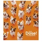 Тетрадь Школярик Star Endorphins 36 листов клетка (036-3559K) - уменьшенное изображение 4
