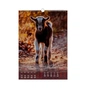 Календарь Buromax настенный А3 2027 год, 1 пружина, Cute goat (BM.210601) - уменьшенное изображение 11