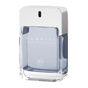 Туалетна вода Bugatti Signature Grey 100 мл (4051395402197) зображення 1