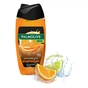 Гель для душу Palmolive Men Цитрусовий заряд Бадьорвий 2 в 1 для тіла та волосся 250 мл (8693495047364) - зменшене зображення 3