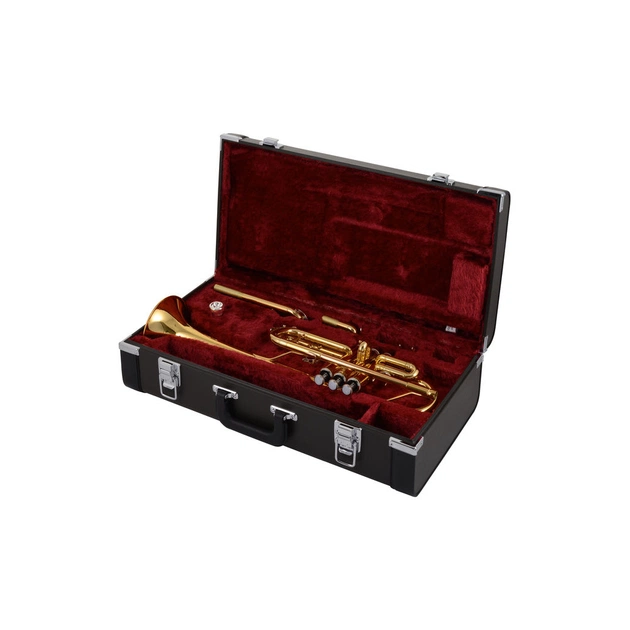 Труба Yamaha YTR-4435GII C/Bb - изображение 6