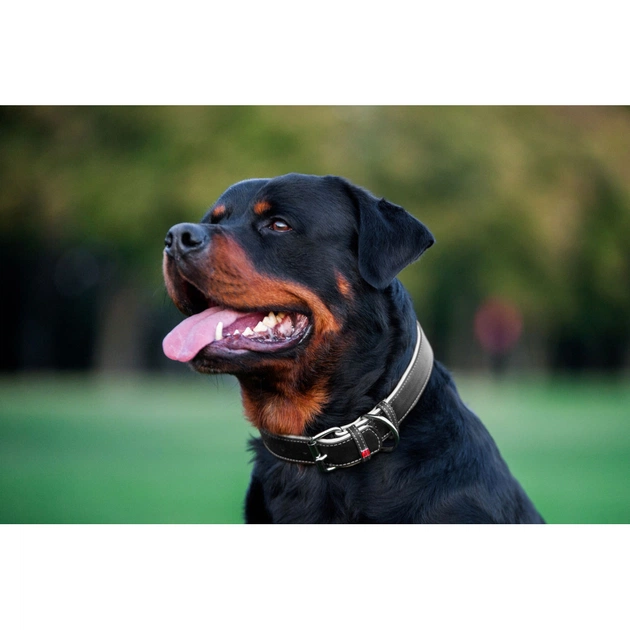 Нашийник для тварин WAUDOG Soft з QR паспортом M Ш 25 мм Д 38-49 см чорний (7202) - picture 5