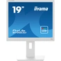 Монітор iiyama B1980D-W5 - зменшене зображення 2