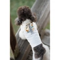 Футболка для тварин Pet Fashion Ostap XS (4823082439263) - зменшене зображення 9